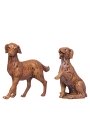 Set di cani